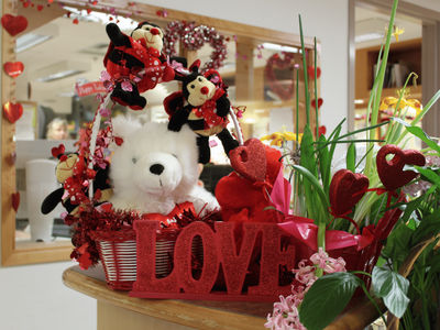 Give to Lions Gate Hospital