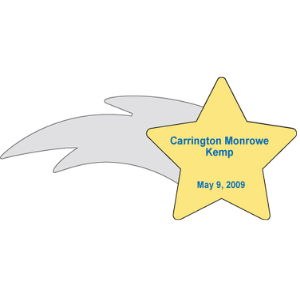 Shooting Star - Plus Commemorative Certificate and an Ornamental Keepsake Star